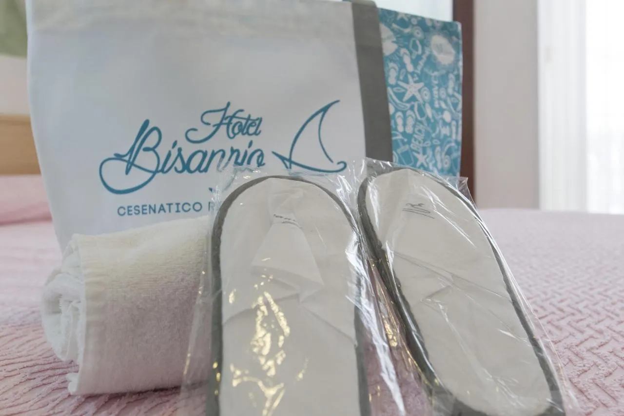 Hotel Bisanzio Cesenatico Italy
